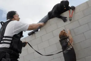 Vigilante che con il suo cane blocca un ladro